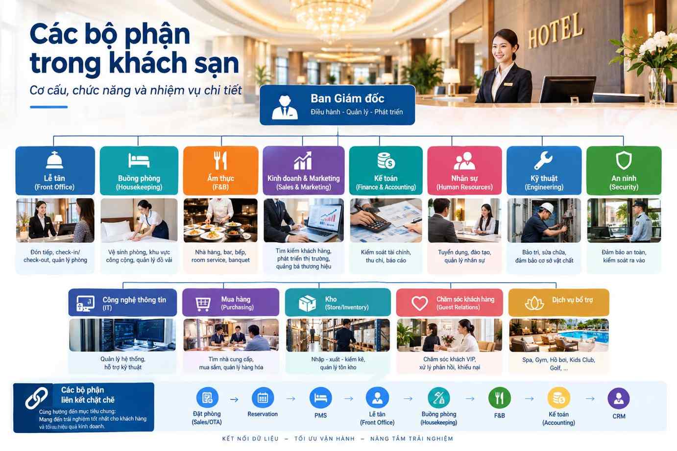 Các bộ phận trong khách sạn: Cơ cấu, chức năng &amp; nhiệm vụ